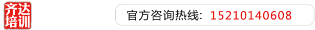 少萝白丝被C齐达艺考文化课-艺术生文化课,艺术类文化课,艺考生文化课logo